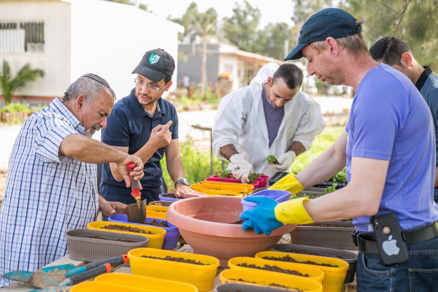 יום התנדבות עובדי אדמה בחווה החקלאית. צילום עוזי אברהם