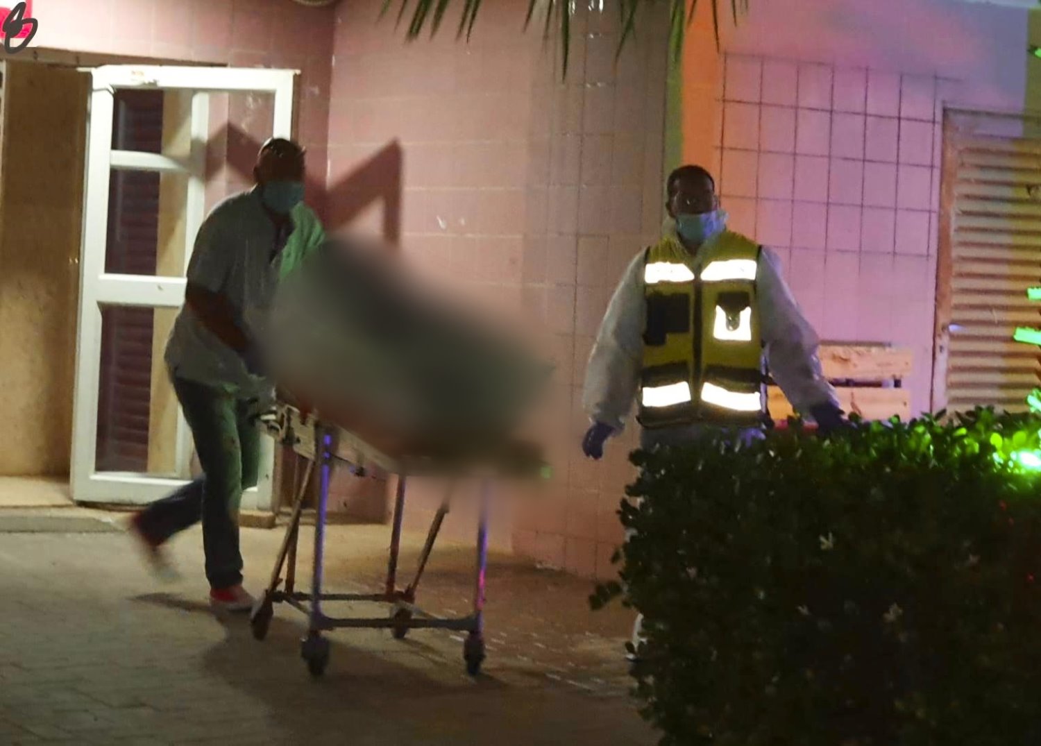 זק&quot;א צילום: דן בונבידה