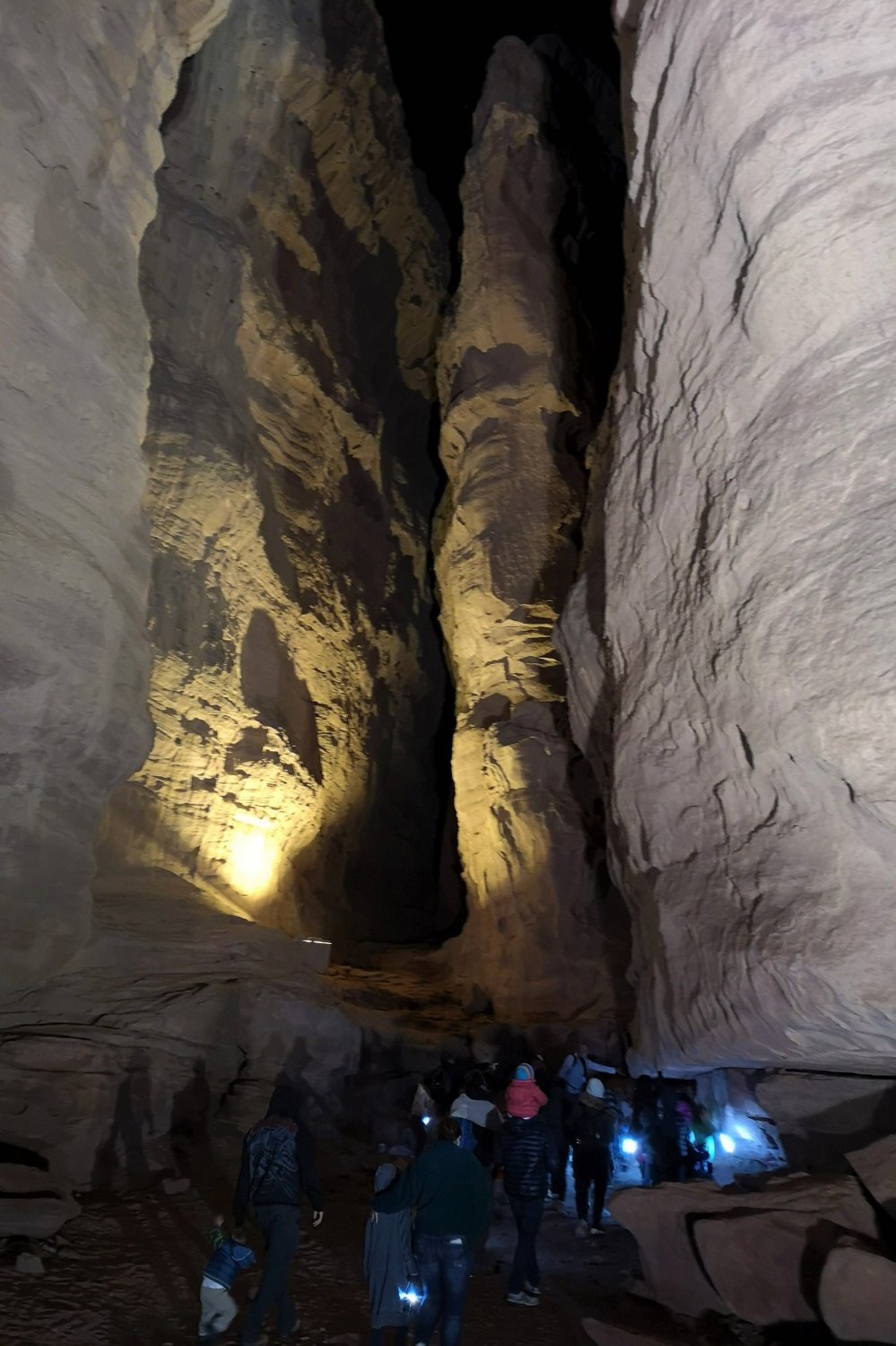 טיול עשישיות- קרדיט ארכיון פארק תמנע 