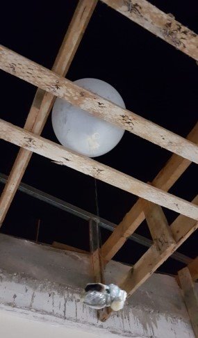 צילום ארכיון דוברות המשטרה 