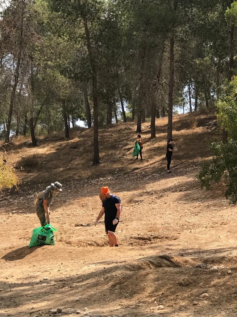 נקיונות ביער להב- צילום פולה כהן קק"ל