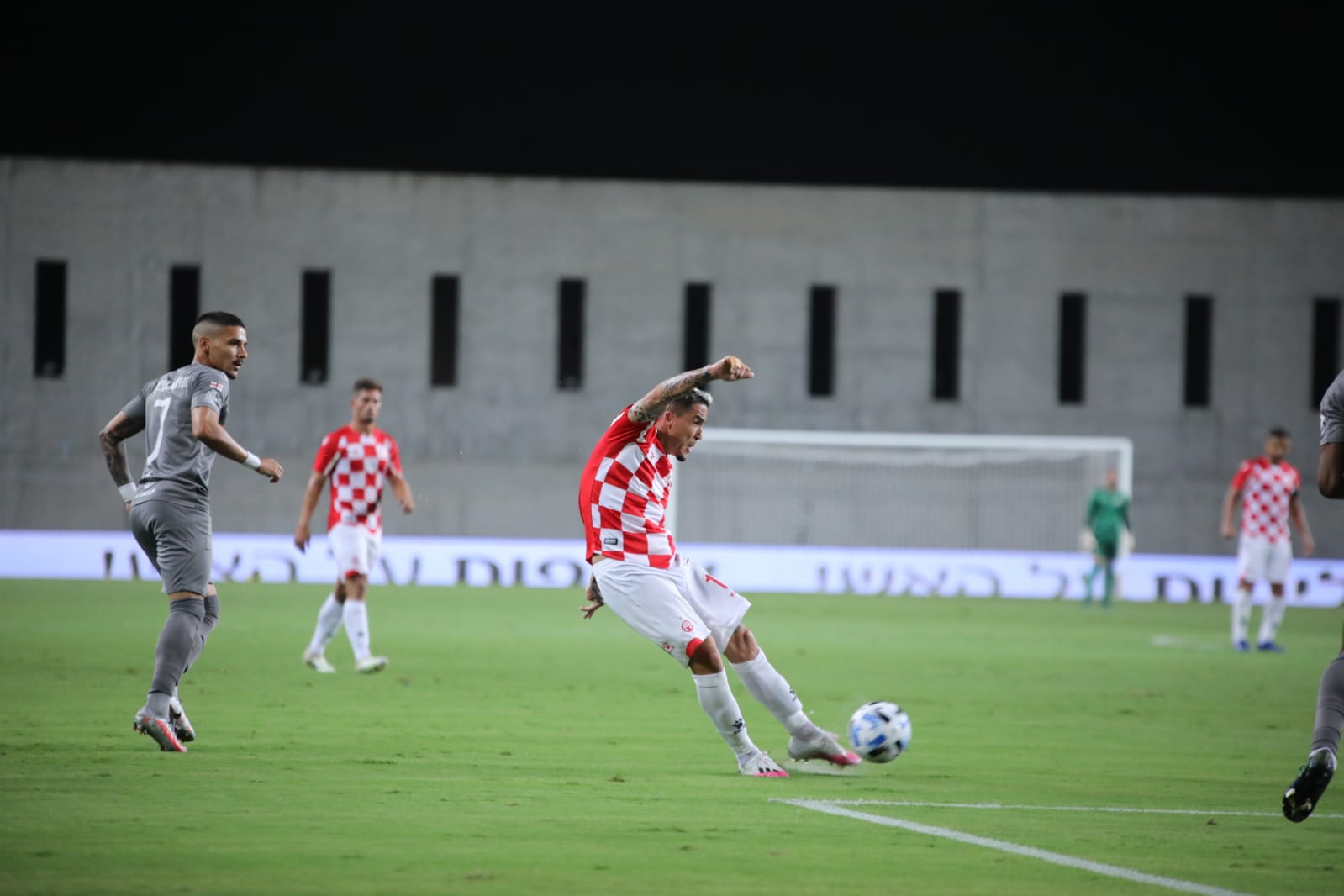 צילום: זאב דיקמן