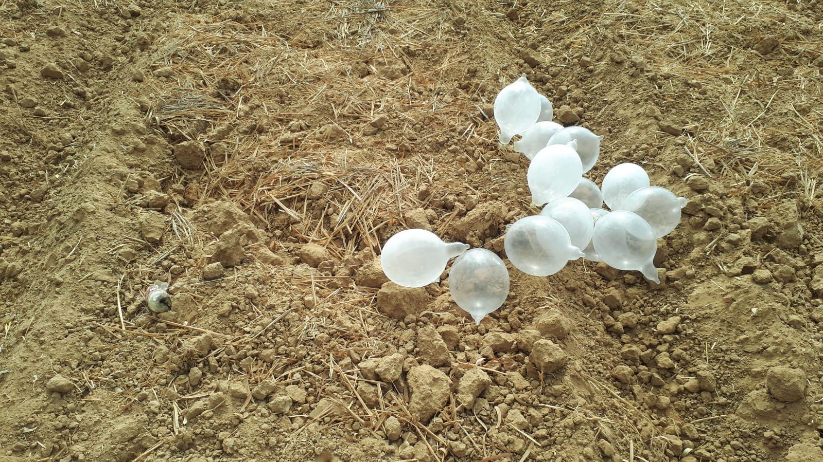 צילום באדיבות משטרת ישראל 