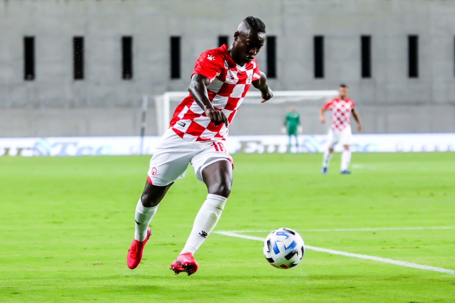 צילום: זאב דיקמן