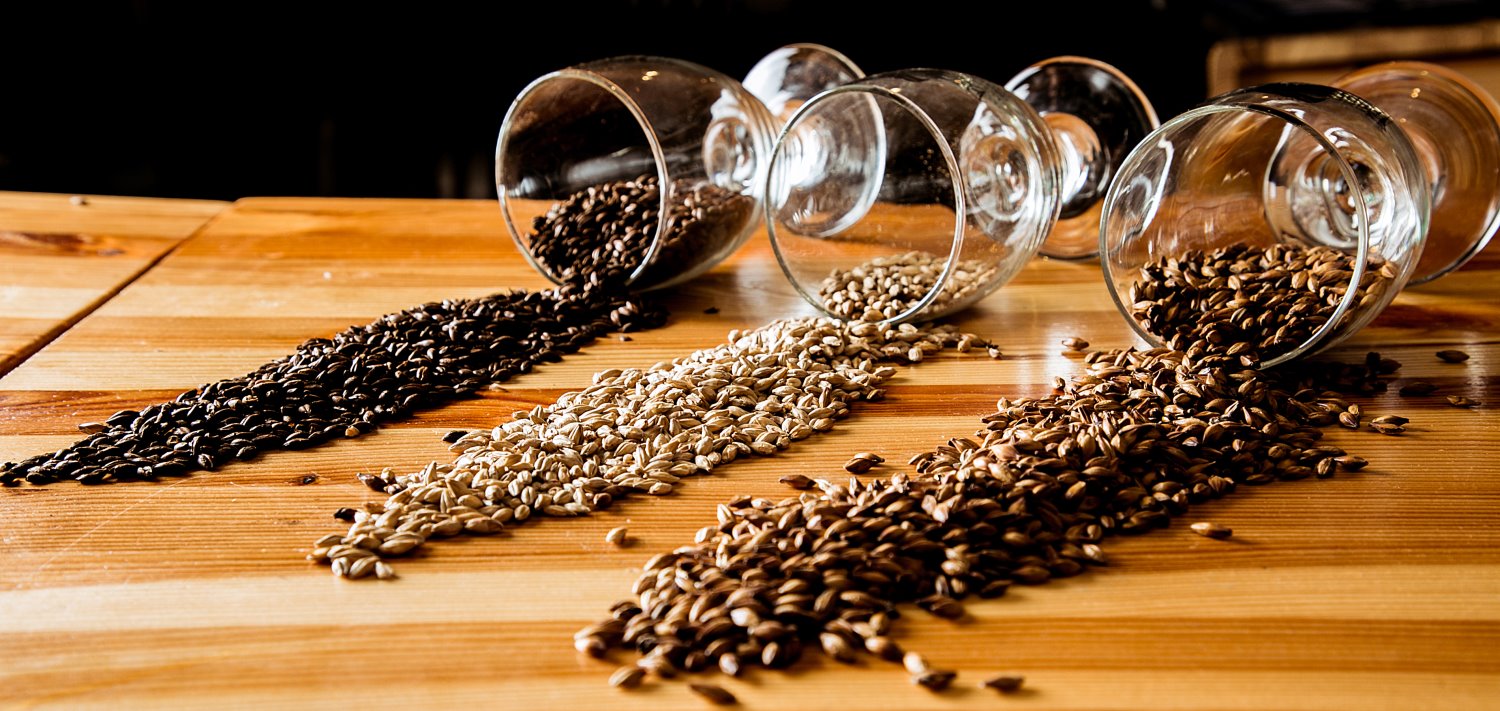 קרדיט "בית הבירה"