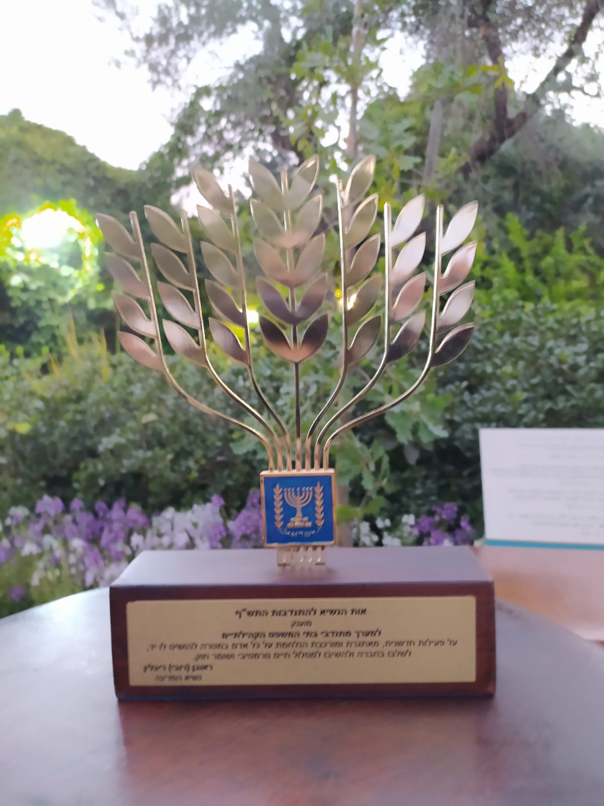 אות הנשיא לשנת 2020 