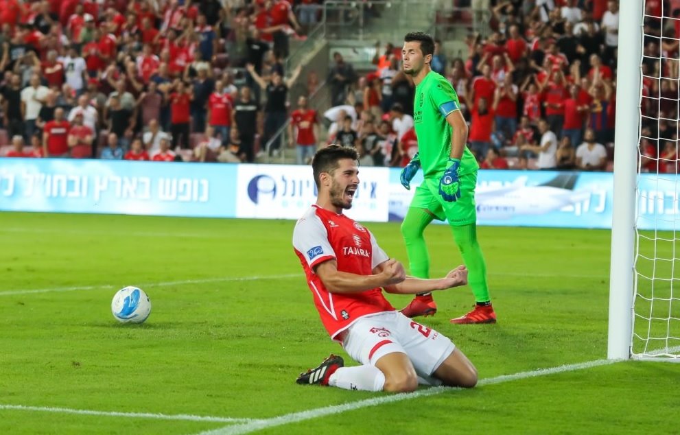 אז הוא כבש, הפעם סבג לא בתכניות. צילום: זאב דיקמן