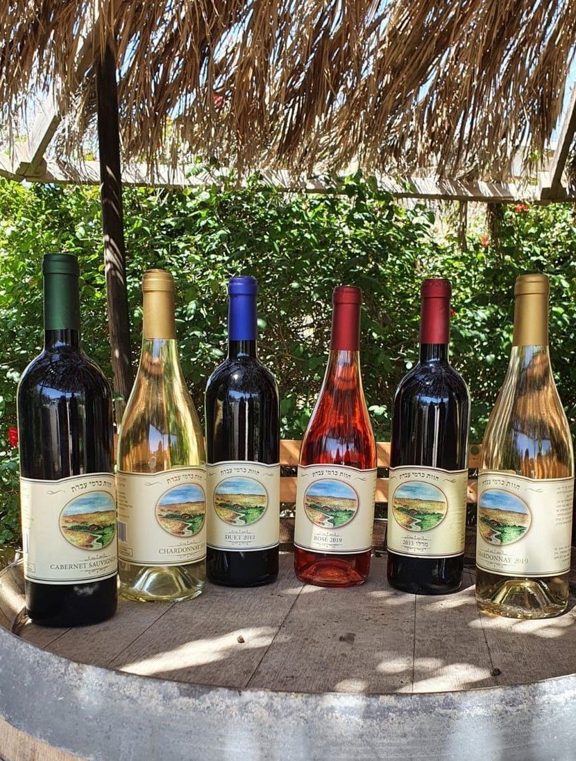 חוות כרמי עבדת