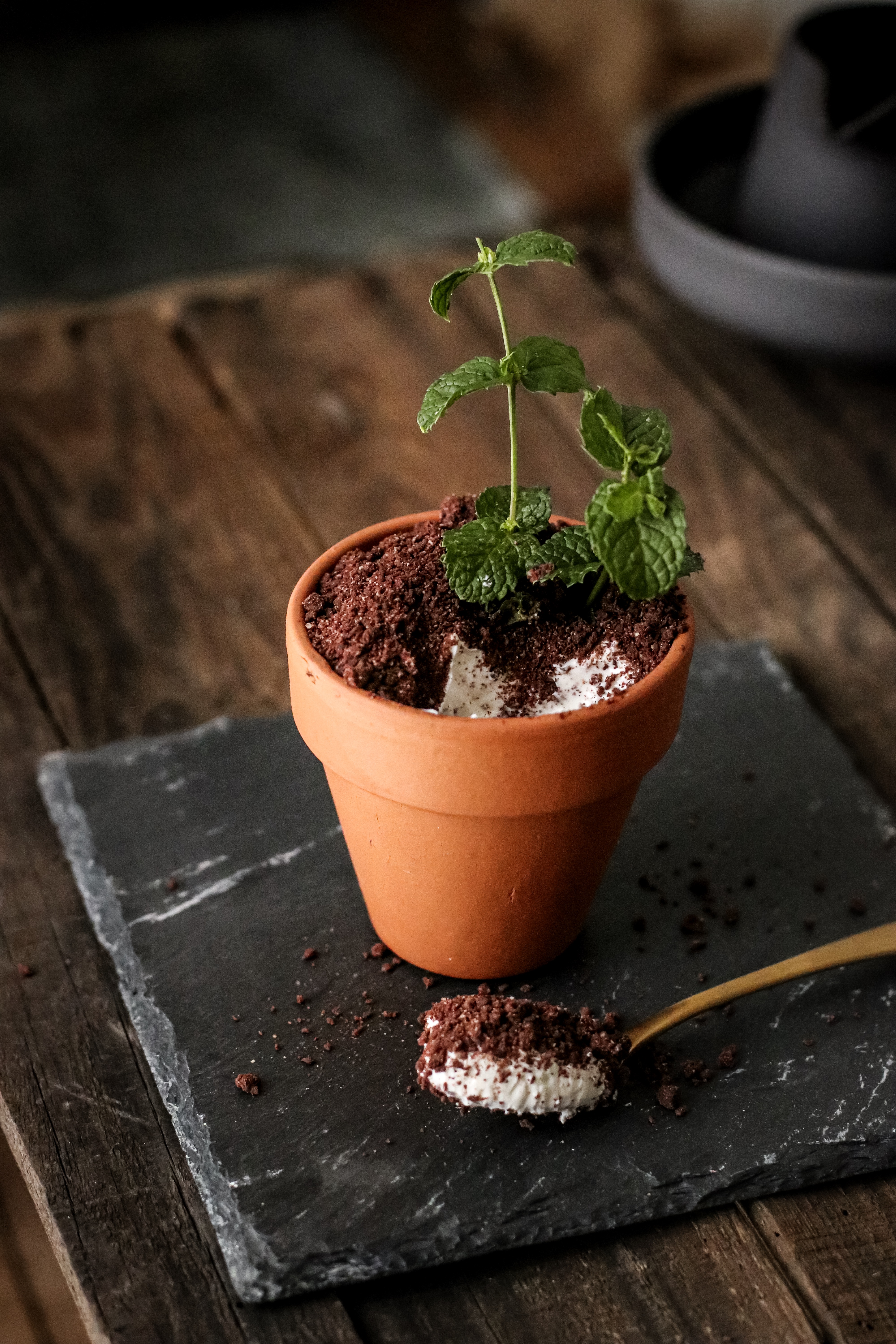 קרדיט צילום טקה סטודיו 