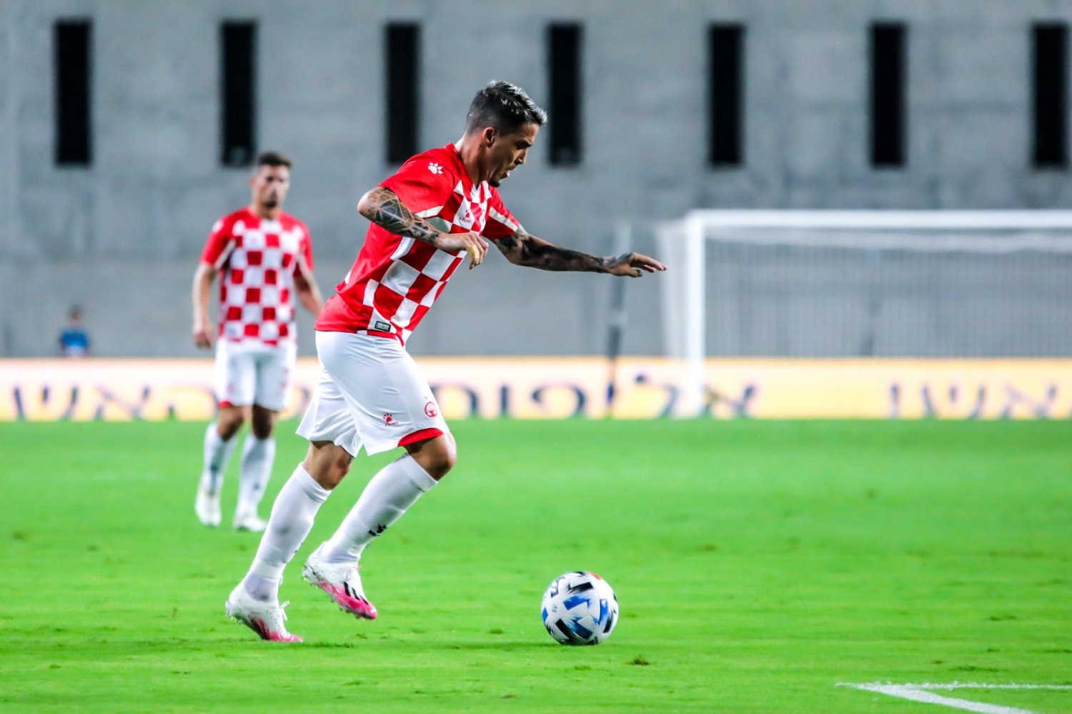 צילום: זאב דיקמן