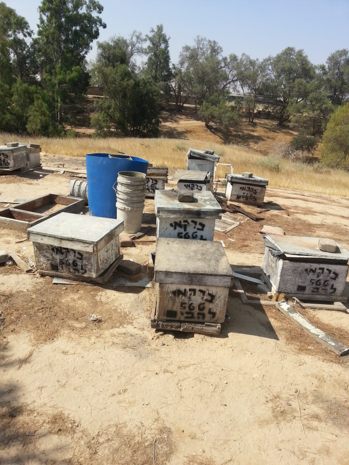 קרדיט דניאל ברקאי, צילום פרטי