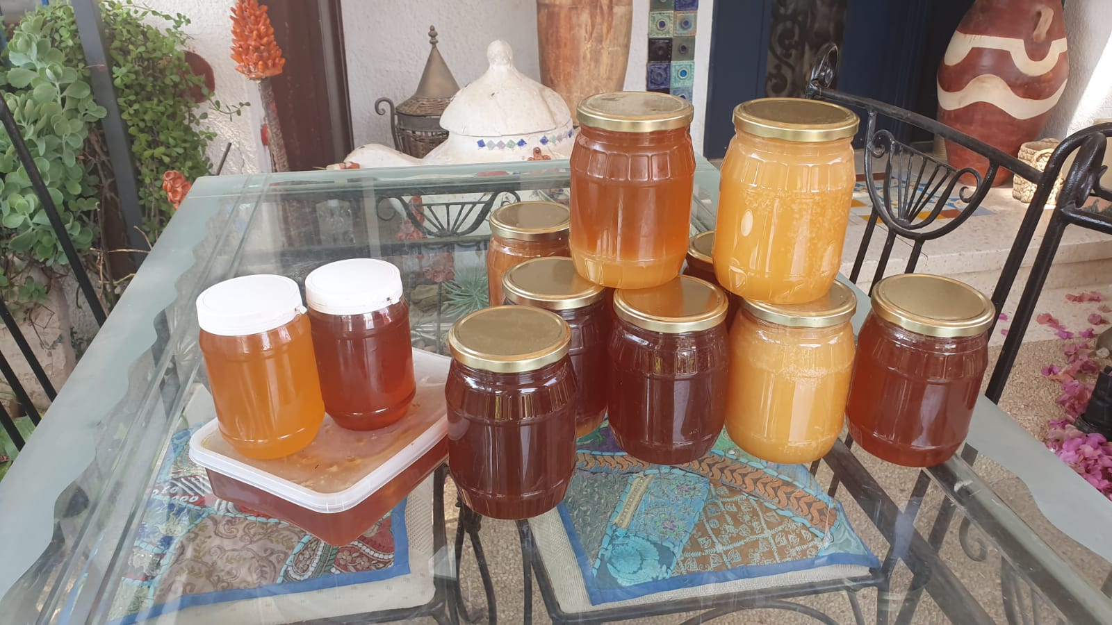 קרדיט דניאל ברקאי, צילום פרטי