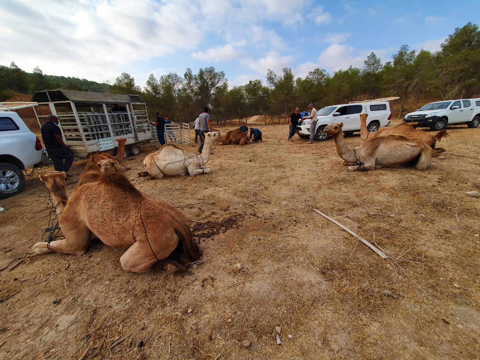 צילום באדיבות משטרת ישראל 