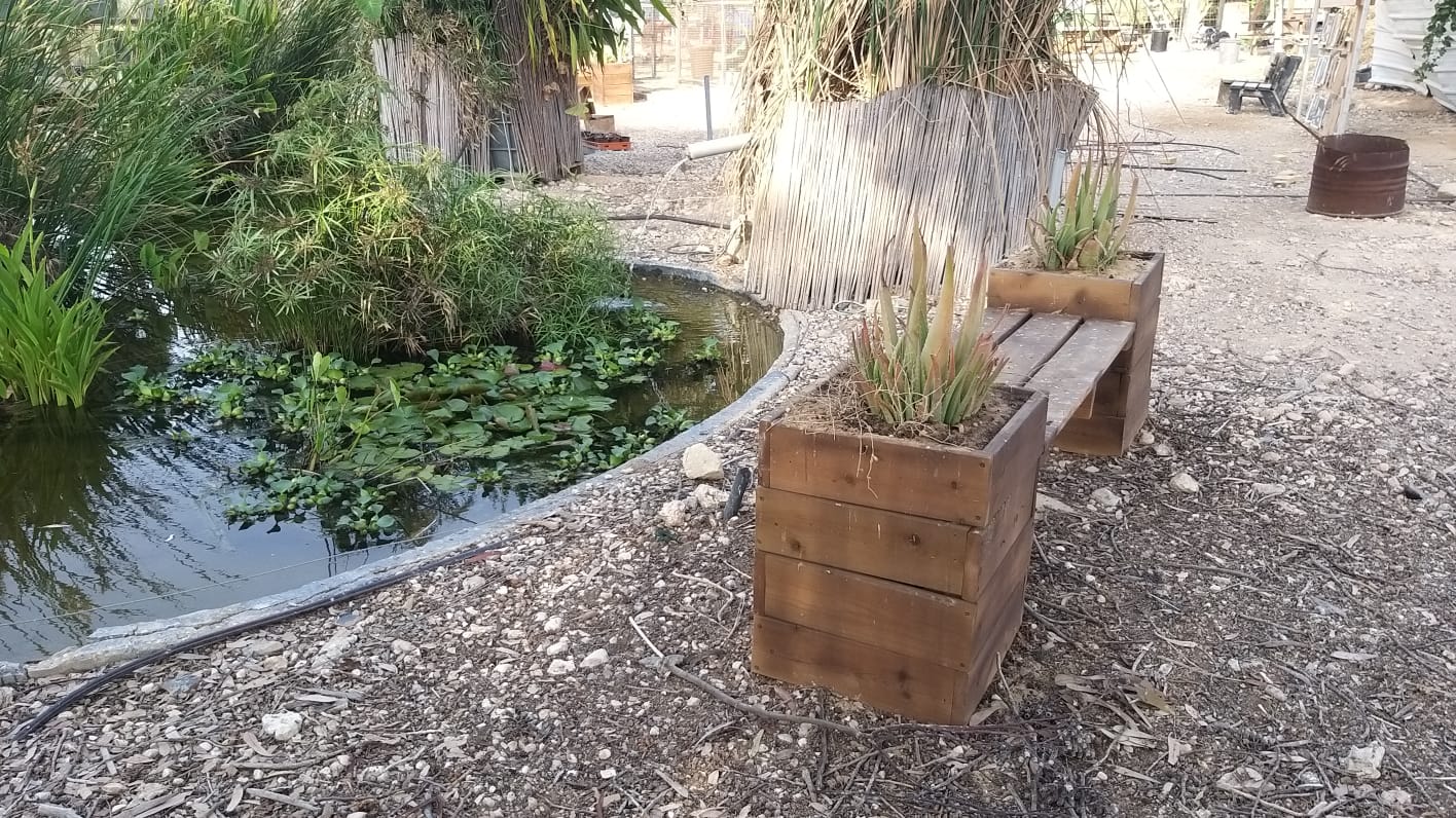 באדיבות  צוות הסדנה ומקימי  הפרויקט 