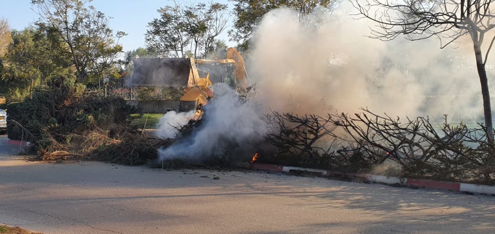 צילום-צוות 3-ארזי 