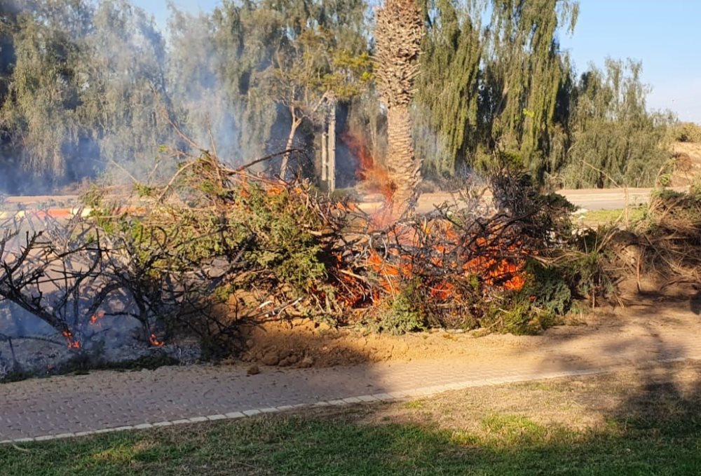 צילום-צוות 3-ארזי