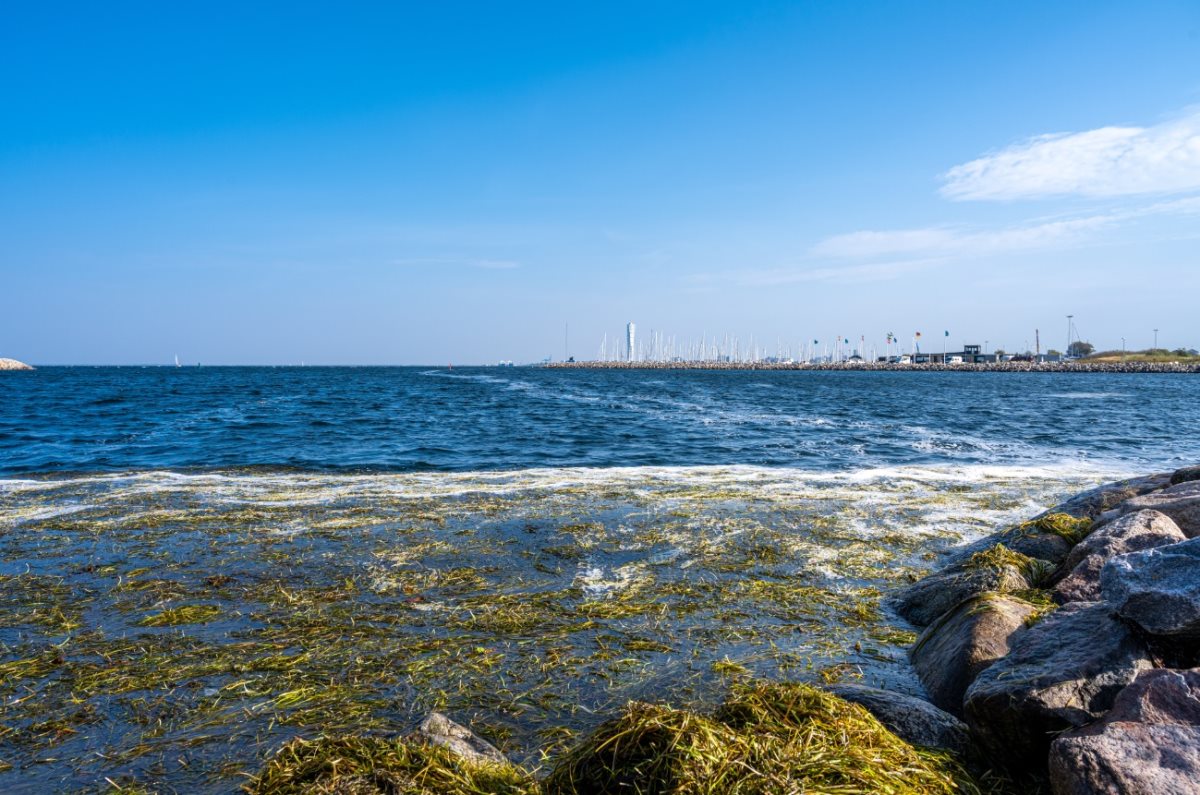 צילום אילוסטרציה Shutterstock