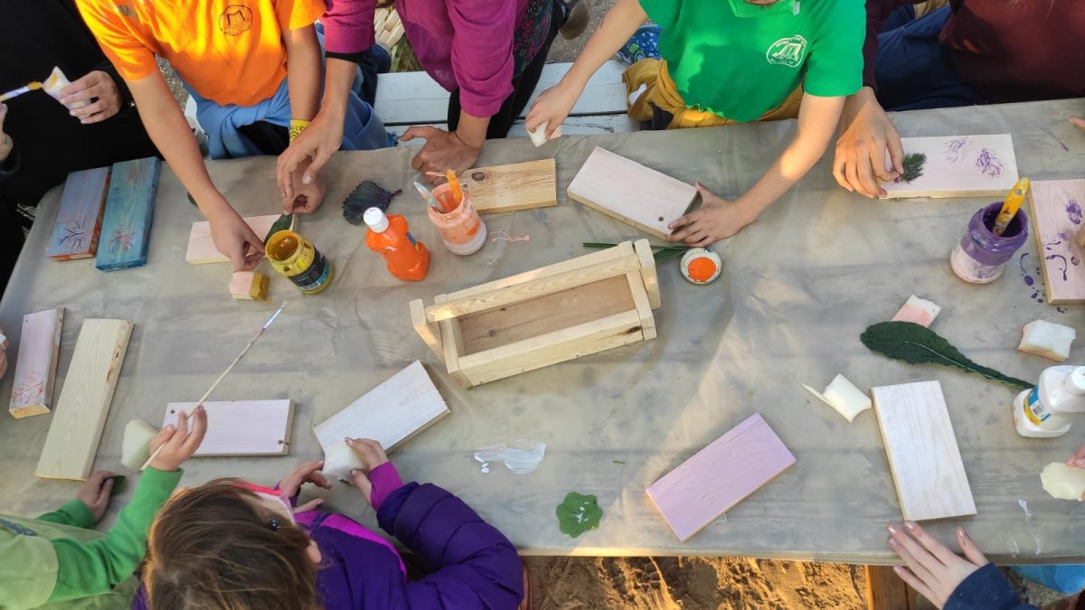 צילום: רויטל הירשוביץ שלמון 