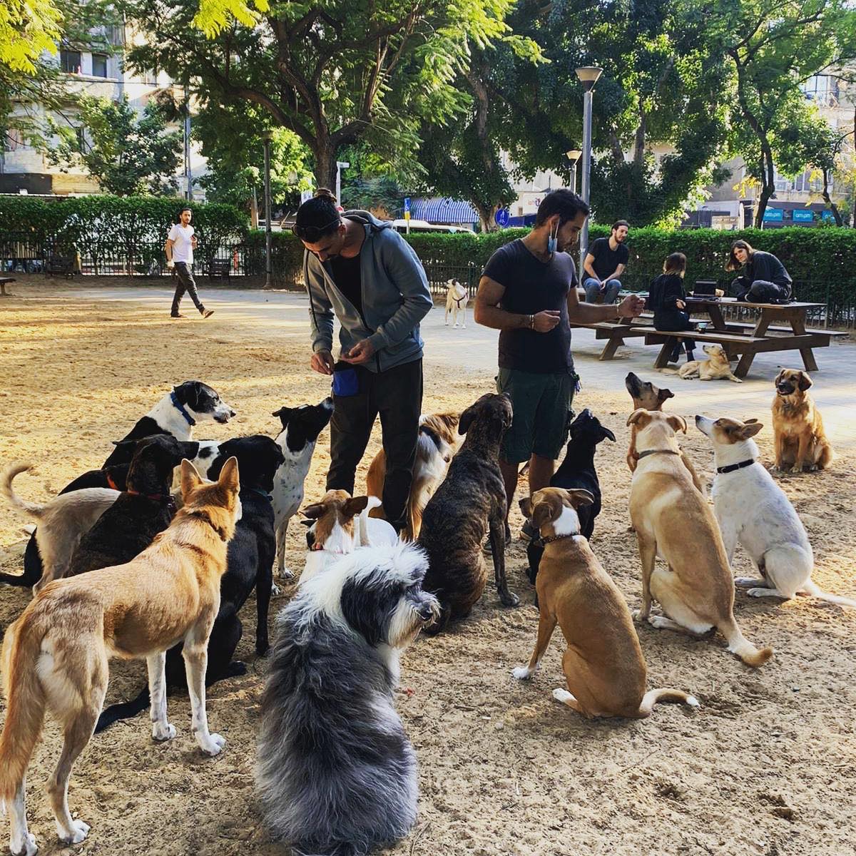 רן פחימה, צילום פרטי