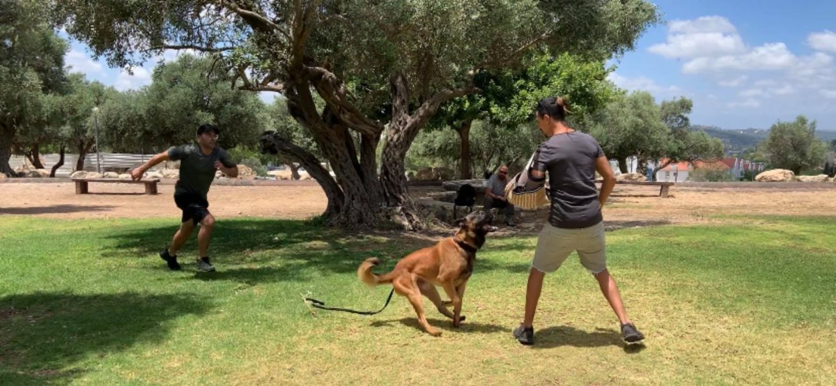 רן פחימה, צילום פרטי