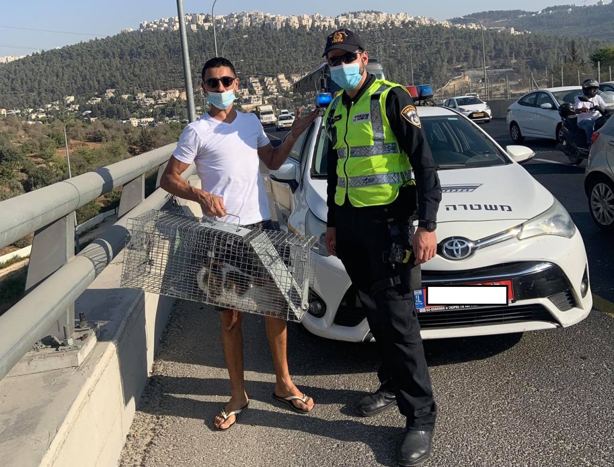 רן פחימה, צילום פרטי