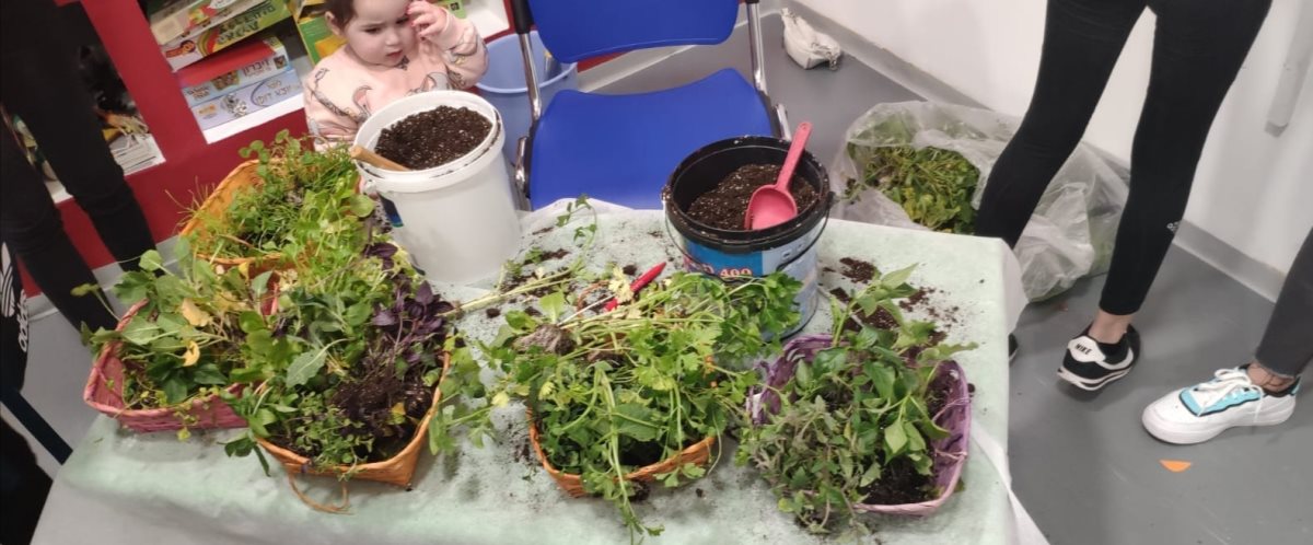 צילום: נעמה מלכה