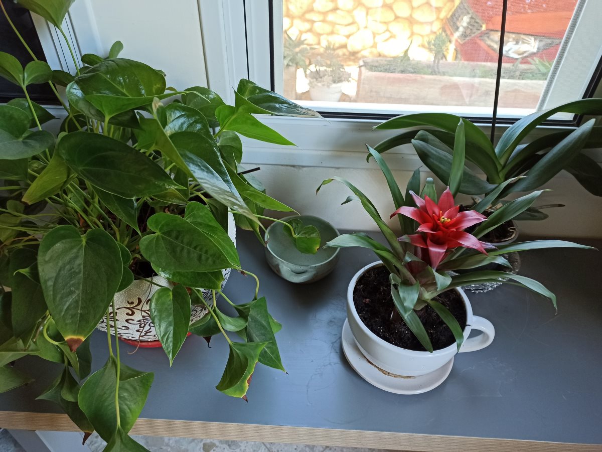 צילום: יהלי אוזן