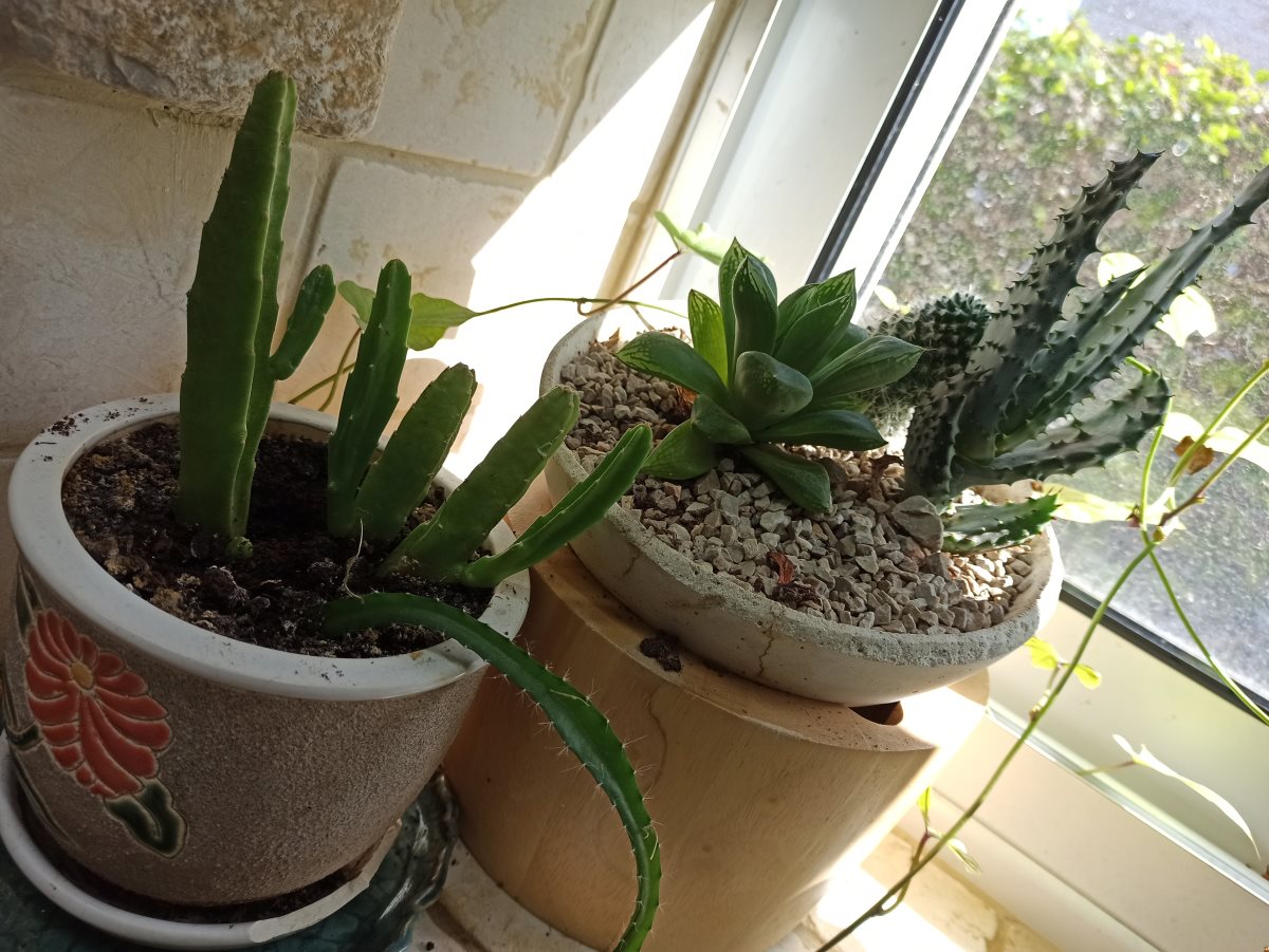 צילום: יהלי אוזן