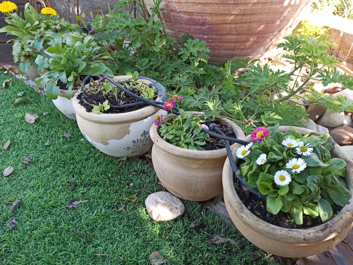 צילום: יהלי אוזן