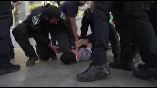 קרדיט - דוברות מרחב נגב