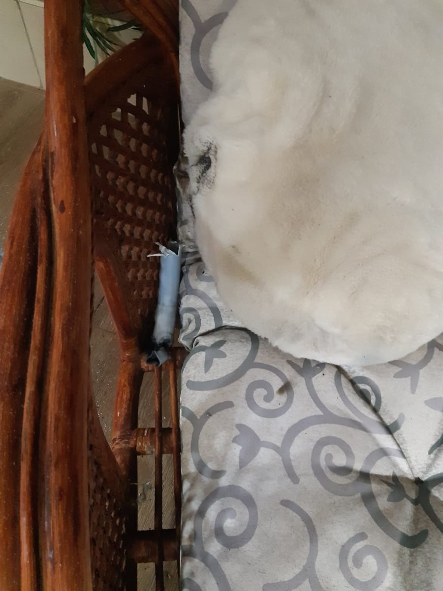 נור התאורה הושלך למרפסת הבית. קרדיט - צילום פרטי