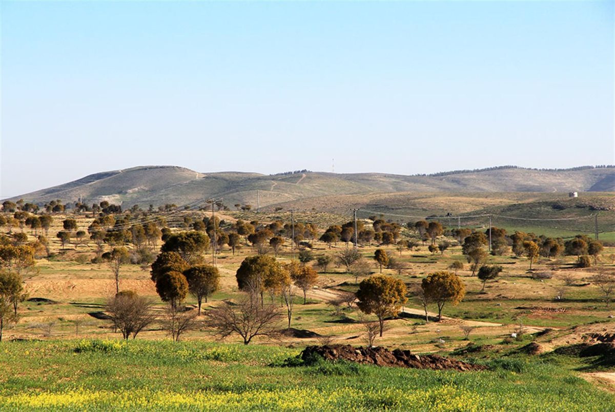 לרוץ בנוף יער יתיר- קרדיט יעקב שקולניק