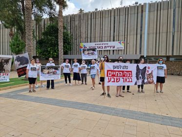 קרדיט - צילום פרטי