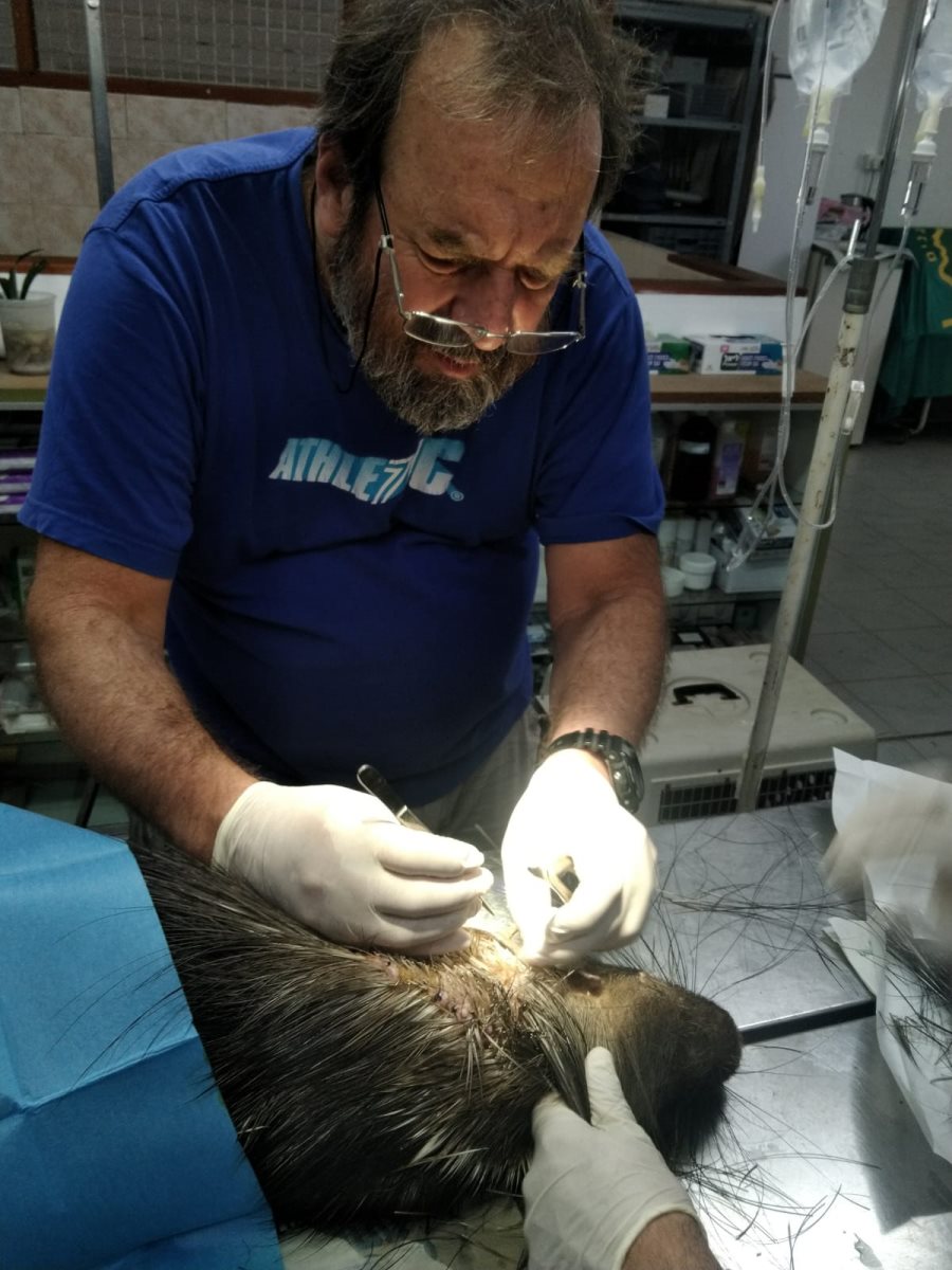 טיפול מסור לאורך כל השנה. קרדיט - נגב zoo