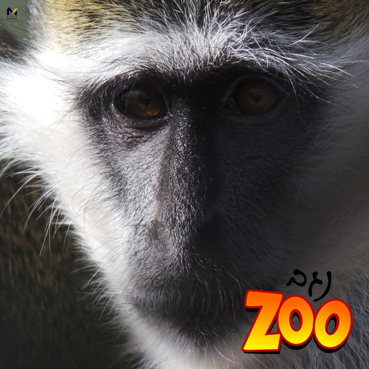 קרדיט - נגב zoo