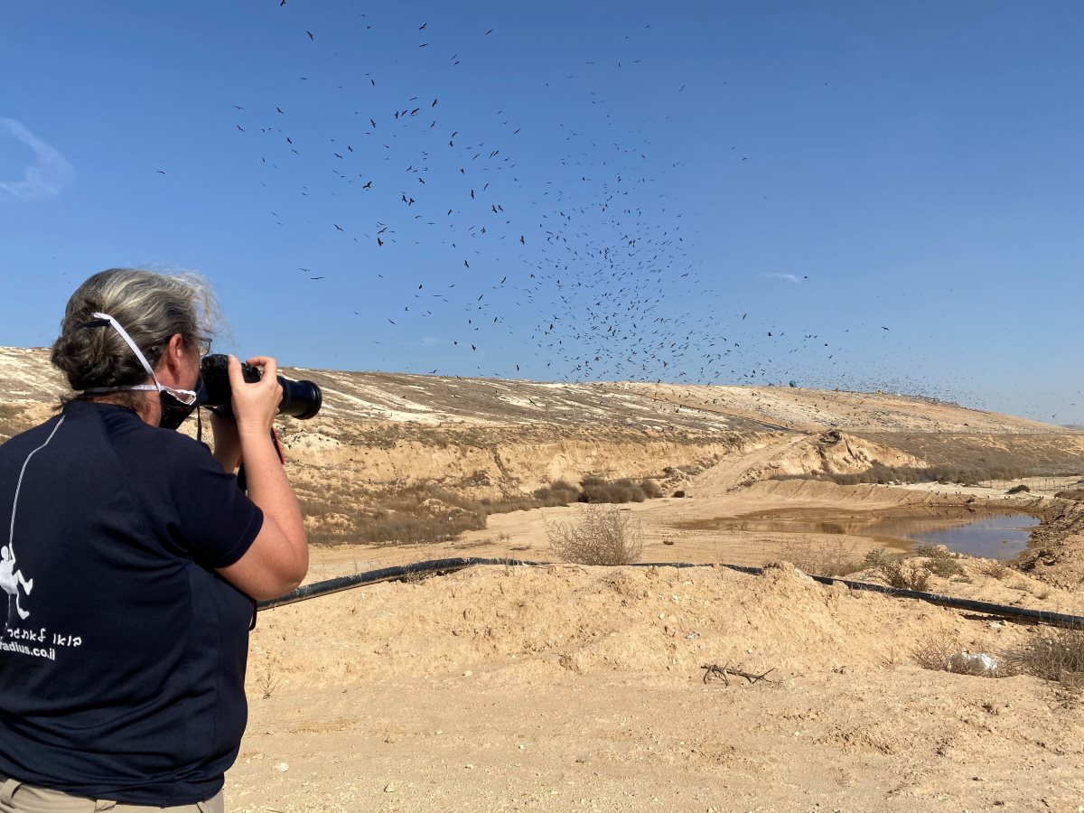 קרדיט - תמר אדמתי