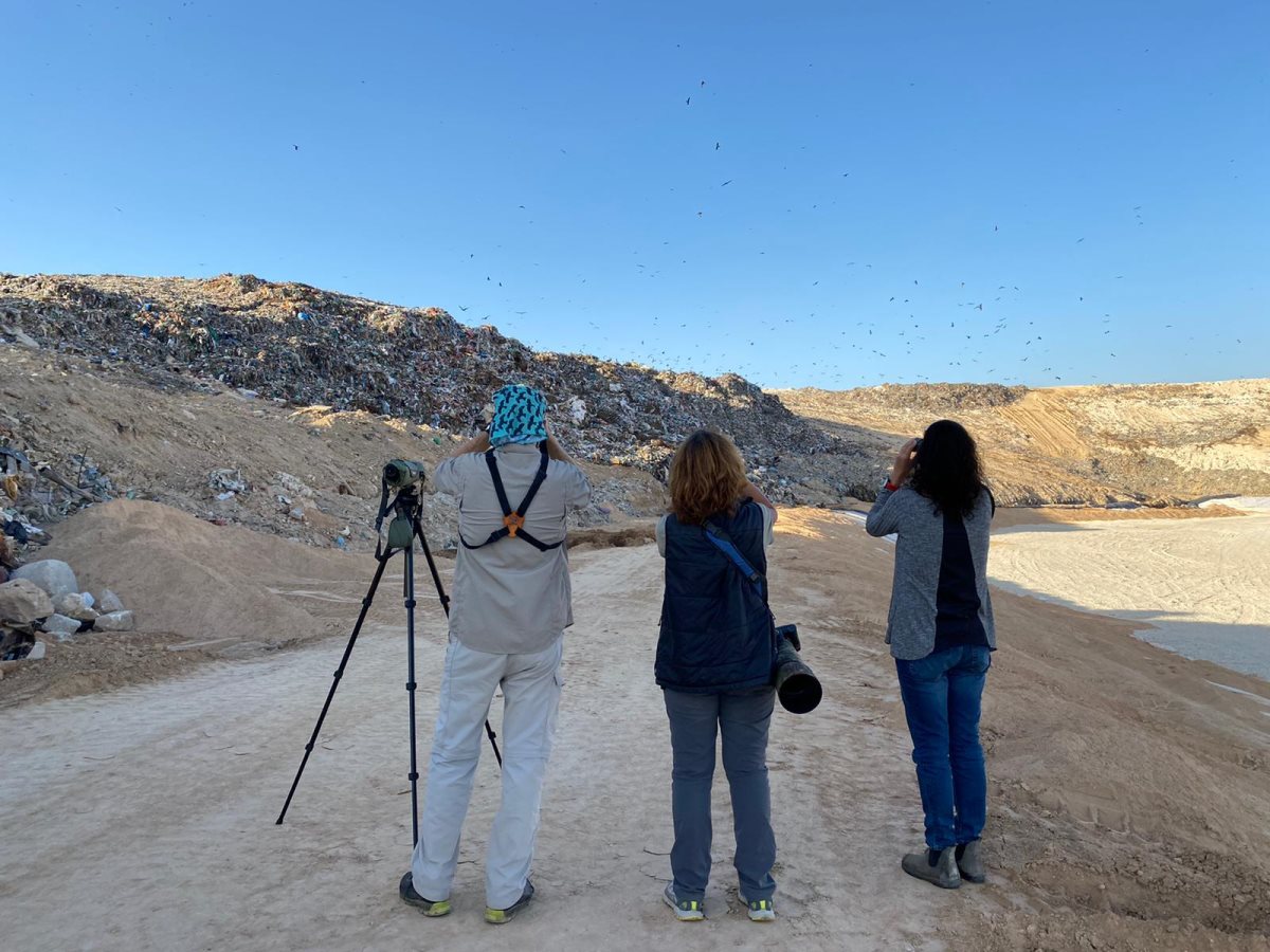 קרדיט - תמר אדמתי