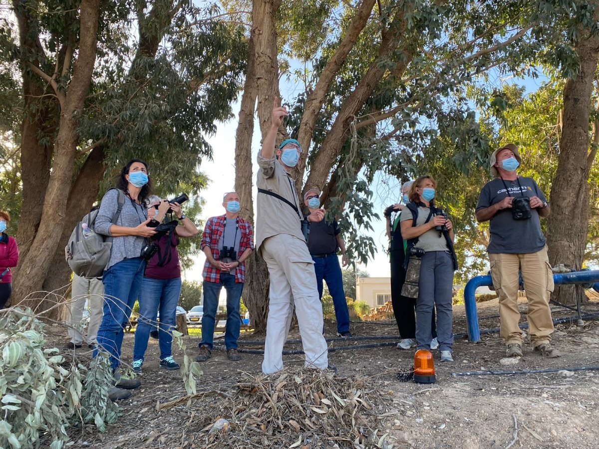קרדיט - תמר אדמתי
