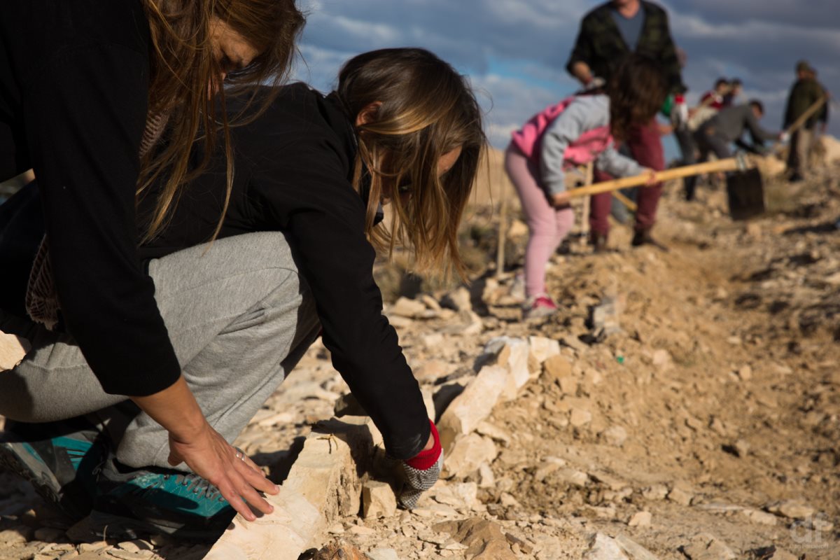 קרדיט - דן פרברוף  