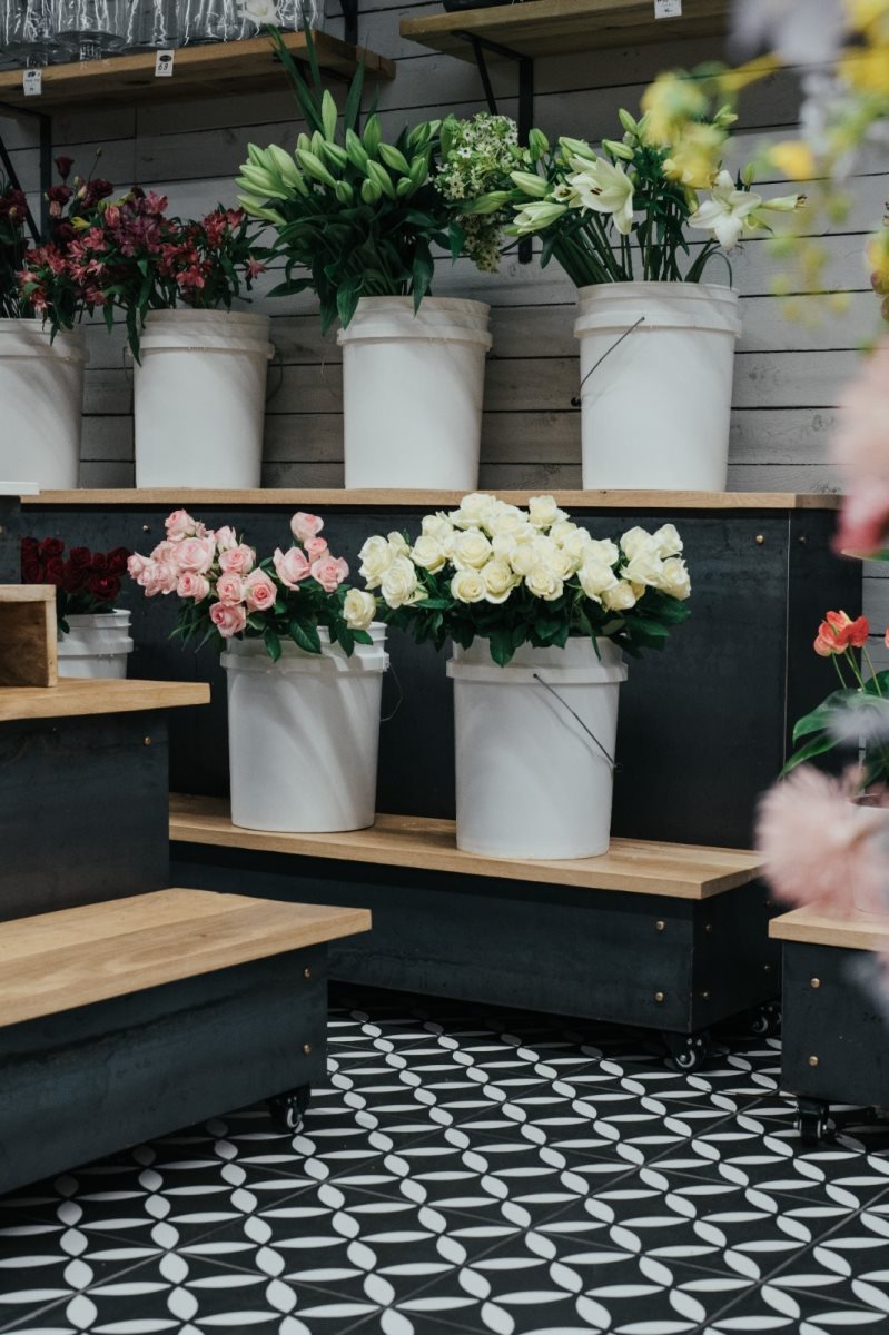 פרחי שוקולד. צילום: אלכס פומנקו