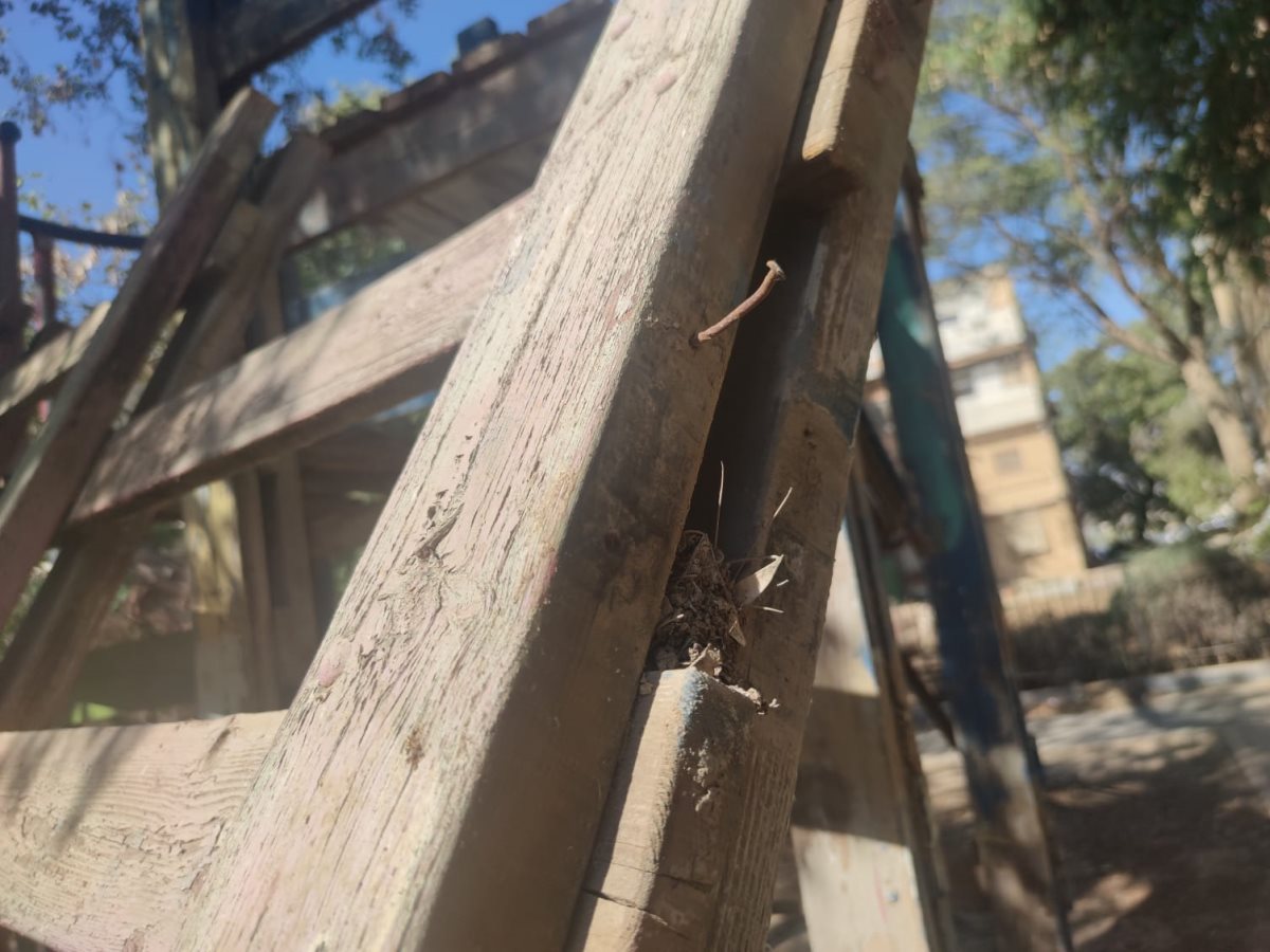 צילום: סתיו ליבנה