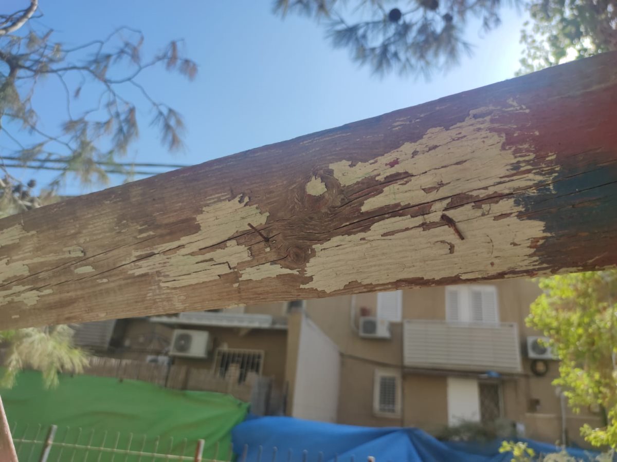 עץ מתקלף, מסמרים חשופים