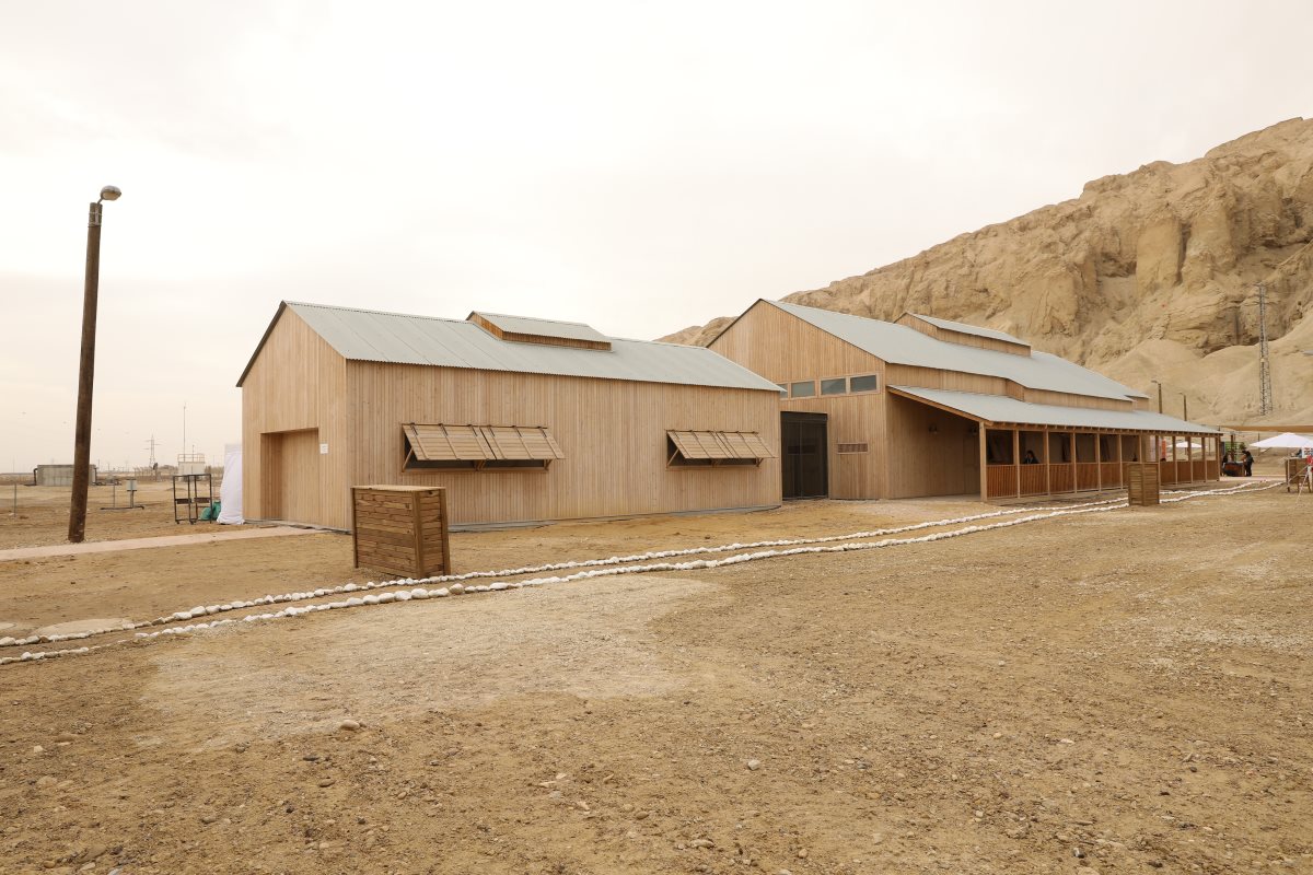 קרדיט - חן גלילי