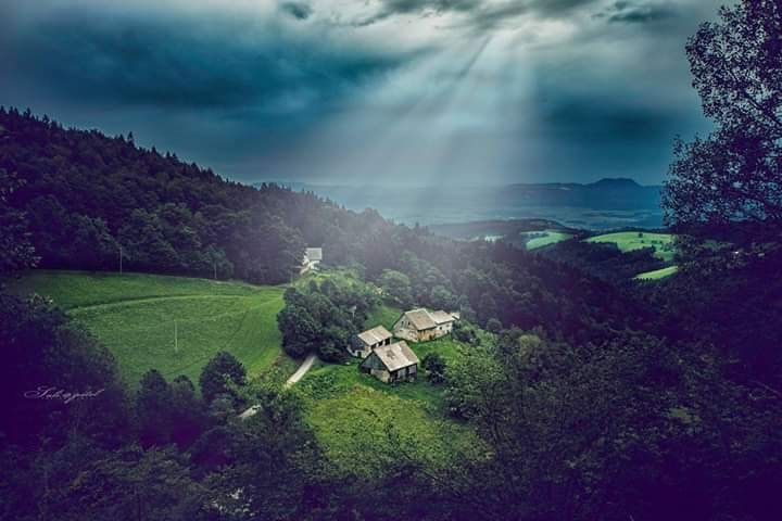 צילום: סלי פטל
