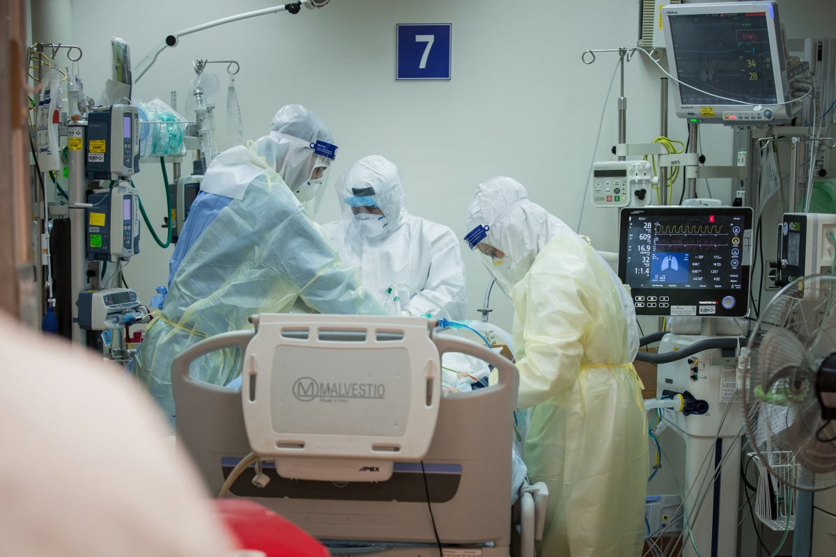 קרדיט - דוברות סורוקה