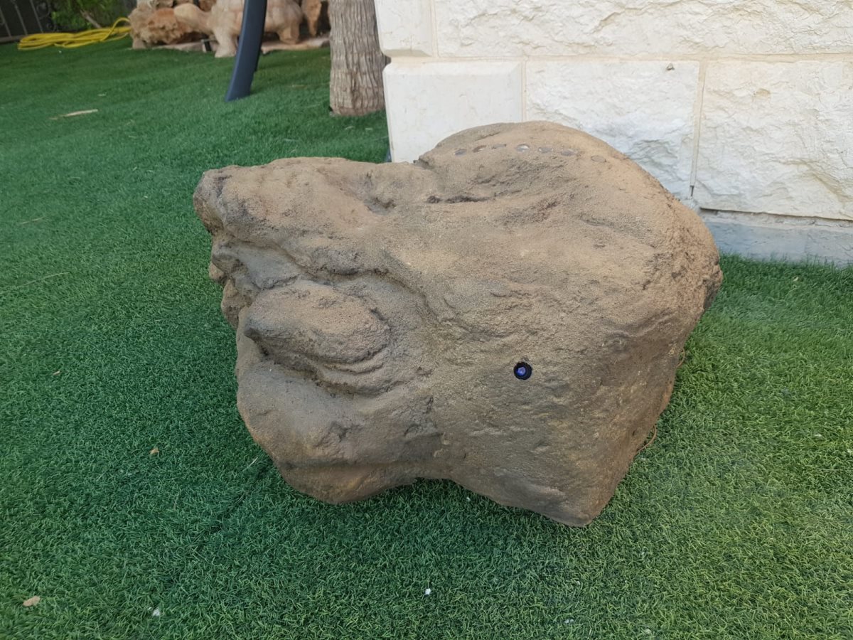 סלע הריגול באדיבות גיא דדון