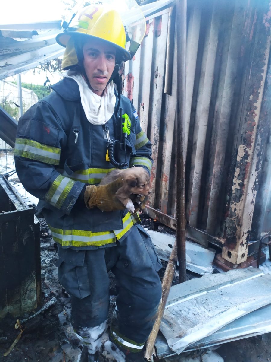 צילום כבאות והצלה 