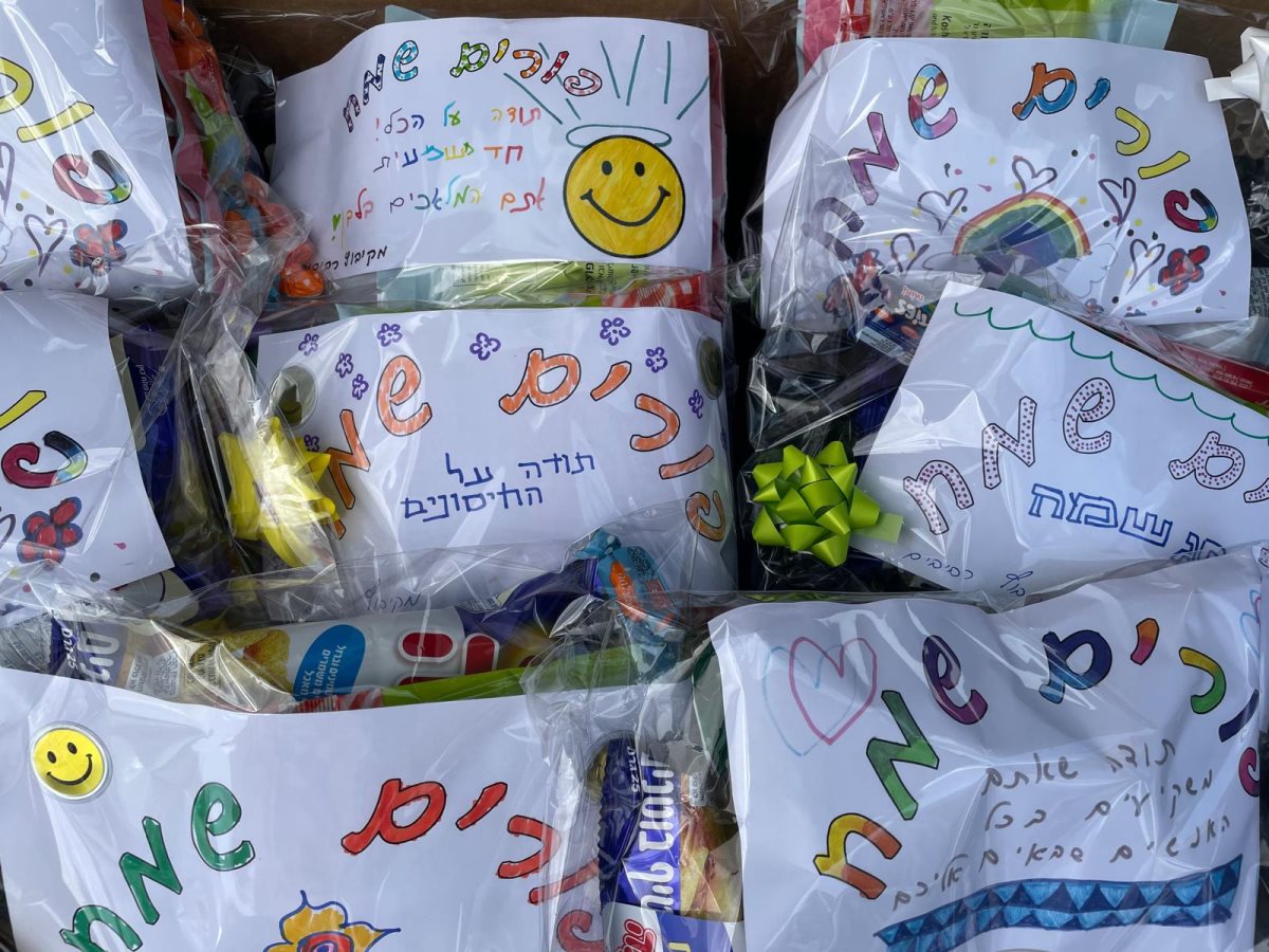 צילום כללית