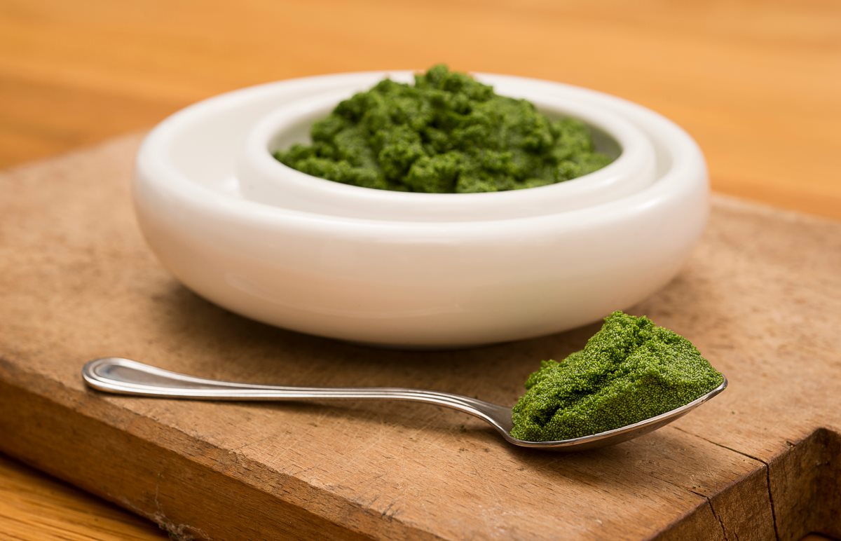 Wet Mankai- קרדיט צילום: שחר פלישמן