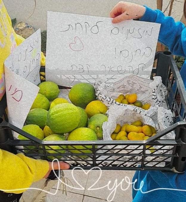 באדיבות מיזם חולקים בשפע מהגינה